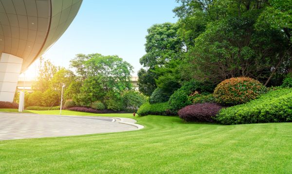 Cost of Commercial Lawn Mowing in Springdale