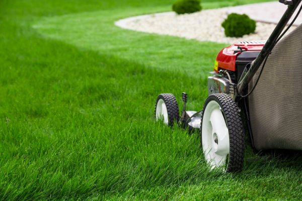 Cost of Mowing Service in Springdale