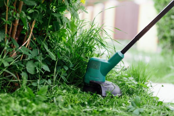 Cost of Weed Whacking in Springdale