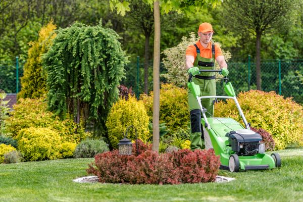 Cost of Yard Service in Springdale