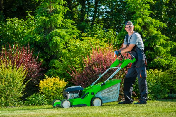 Cost of Yard Work Service in Springdale