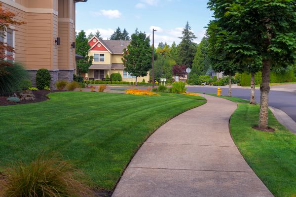 Cost of Home Lawn Maintenance in Springdale