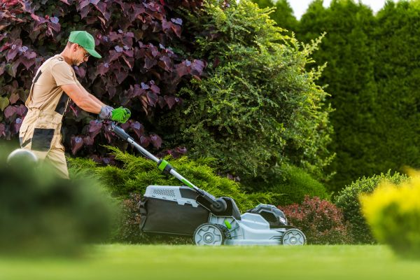 Cost of Lawn Management in Springdale