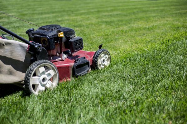 Cost of Routine Lawn Care in Springdale