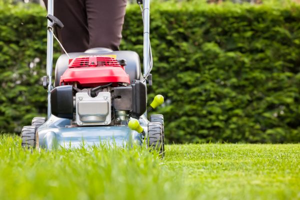 Cost of Grass Trimming Service in Springdale