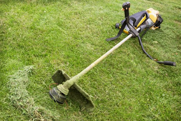 Cost of Hillside Weed Whacking in Springdale