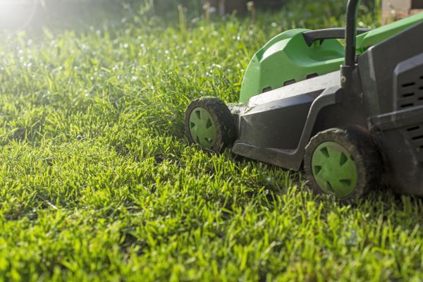 Cost of Lot Mowing in Springdale