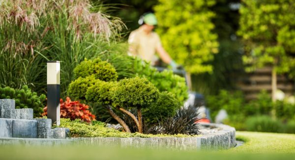 Cost of Residential Yard Maintenance in Springdale