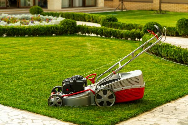 Cost of Business Grass Cutting in Springdale