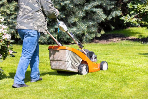 Cost of Springtime Lawn Care in Springdale