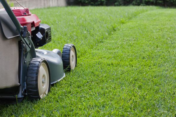 Cost of Spring Lawn Maintenance in Springdale