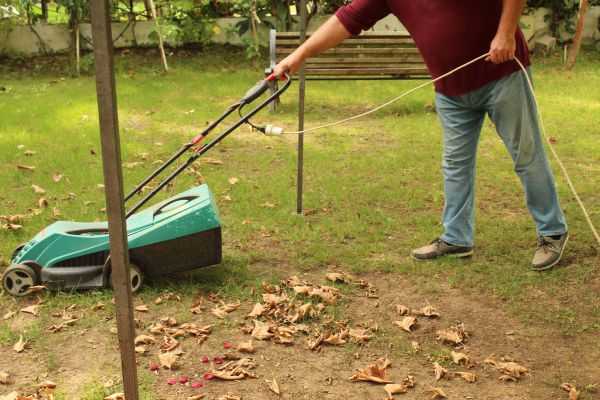 Cost of Leaves Mowing in Springdale