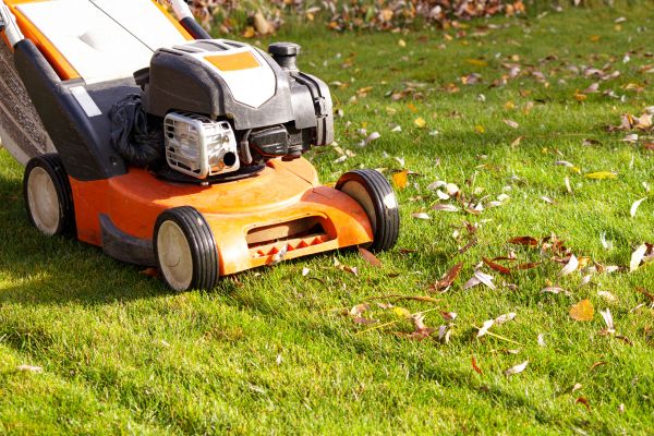 Cost of Fall Mowing in Springdale