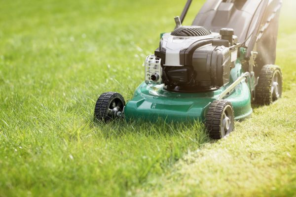 Cost of Spring Grass Trimming in Springdale