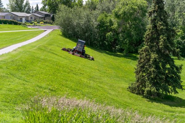 Cost of Sloped Area Mowing in Springdale