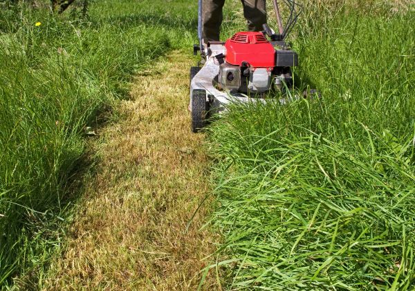 Cost of Leaf Mowing in Springdale