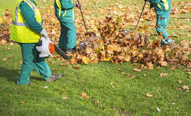 Leaf Raking for Property Care